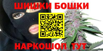 соль ск Новозыбков