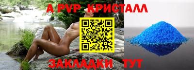 соль ск Новозыбков