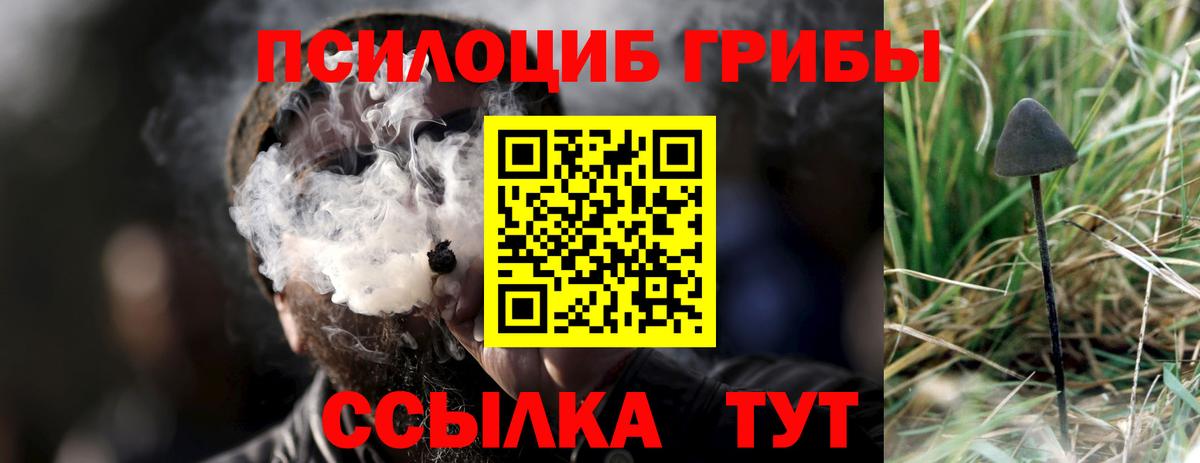 Симферополь  Псилоцибиновые грибы Magic Shrooms  Вход с VPN 